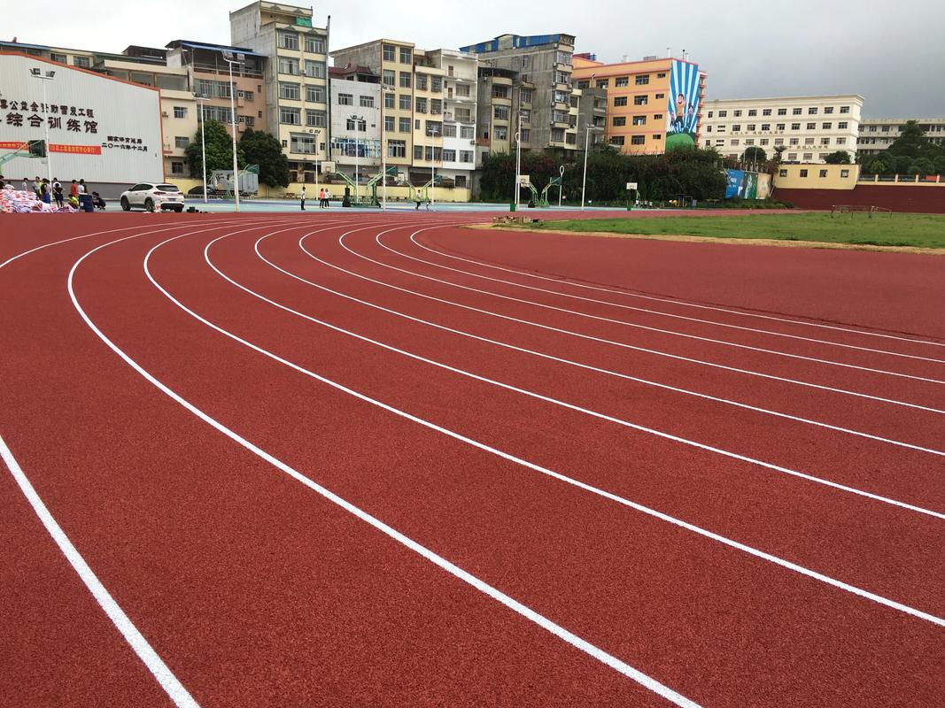普洱市塑胶跑道材料塑胶跑道材料 - 方案